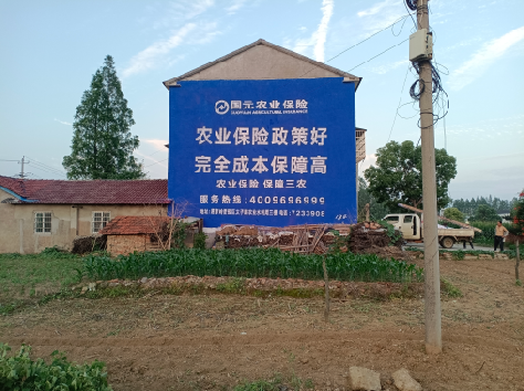 天门墙体广告为何受追捧？